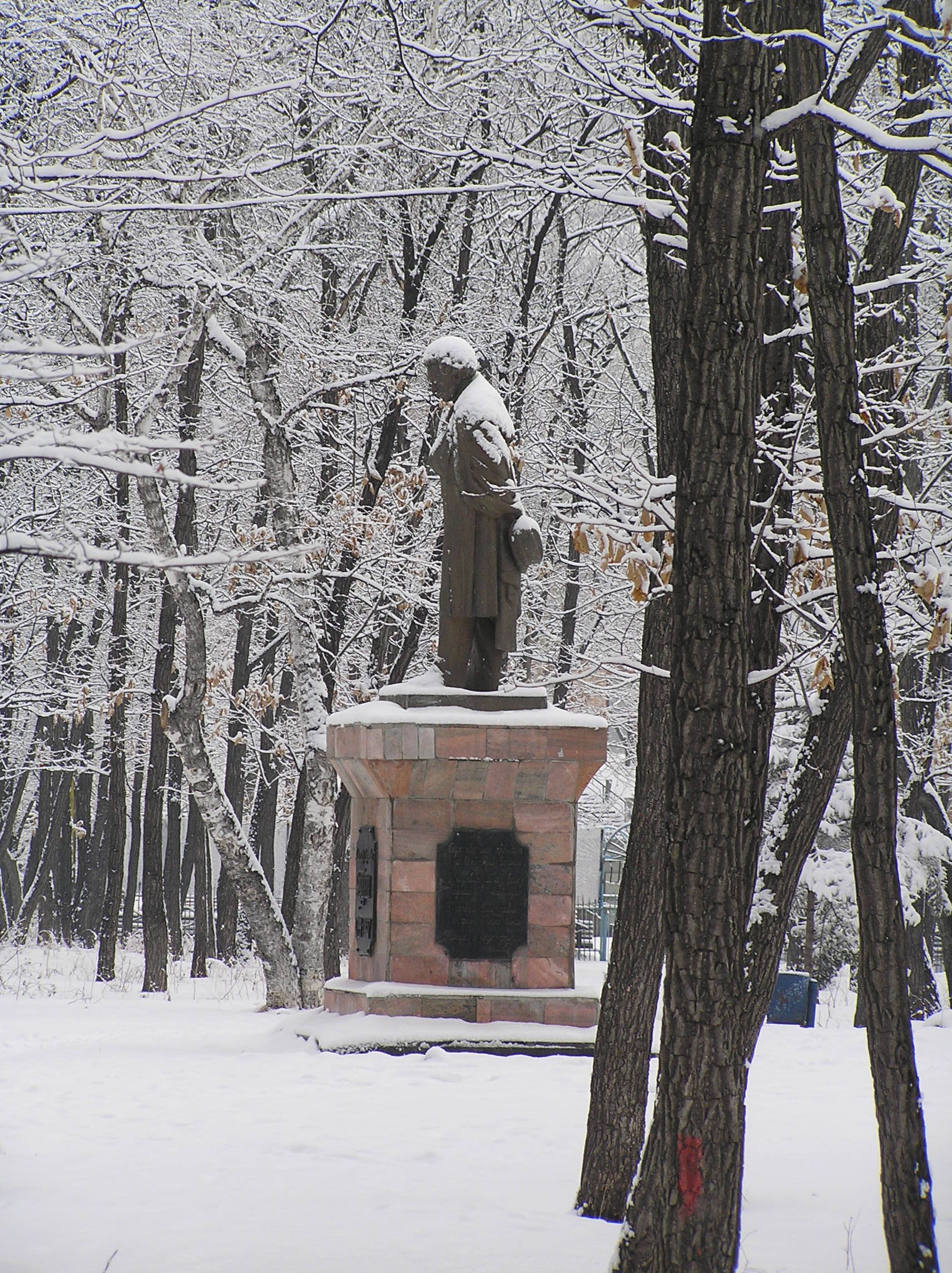 дальнегорск стелла