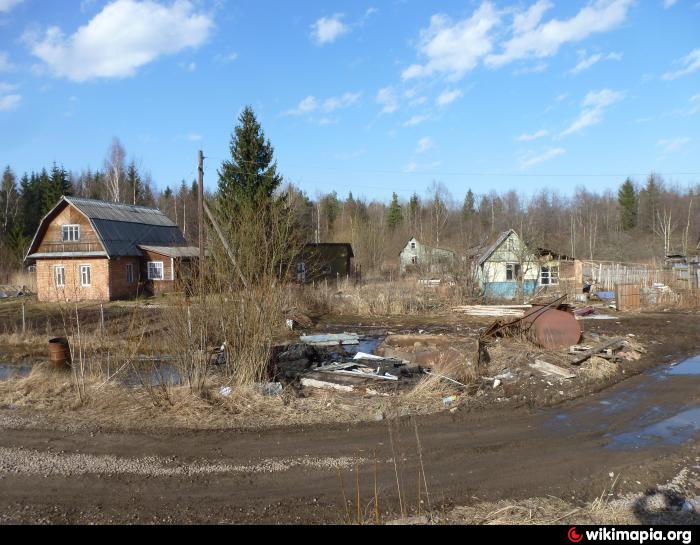 Пятьдесят пятый километр