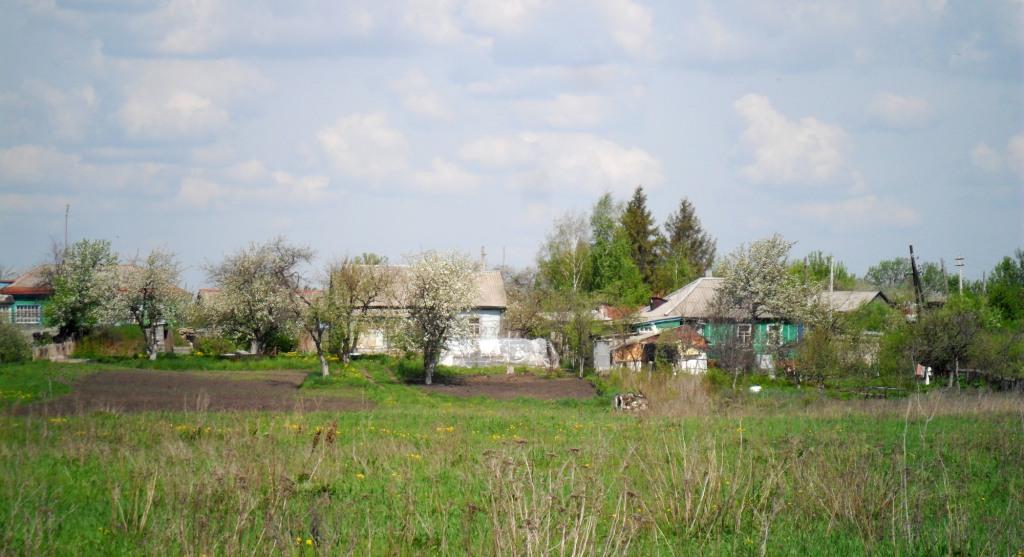 Семилукское сельское поселение. Село Латное Семилукского района. Пселец Курская область. Воронежская область деревня Латная.