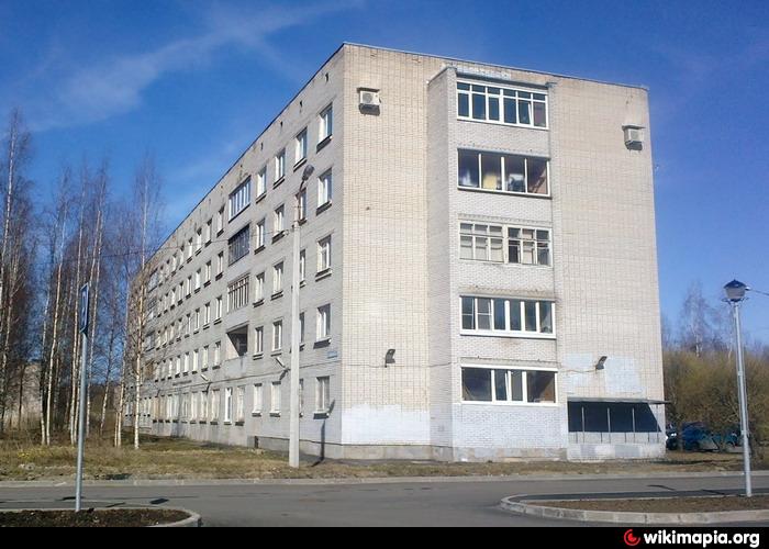 лесная 5 нижний новгород. тсж лесное. пту 27 бокситогорск. красноводская пермь. ул красноводская 13.