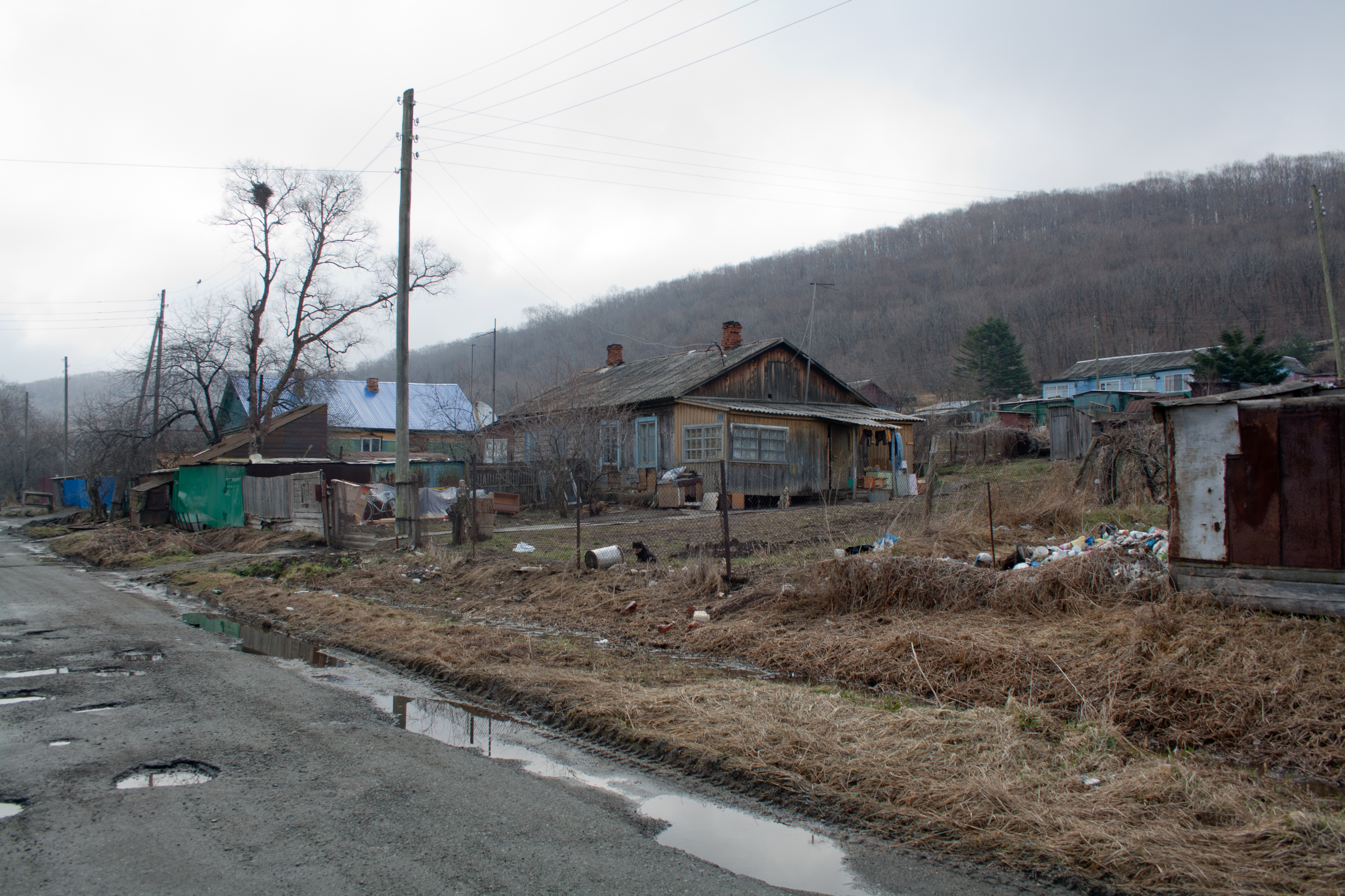воронеж улица сергея лазо. шкотово ул. улица сергея лазо тамбов. приморский край г партизанск лазо. тамбов улица сергея лазо 2.