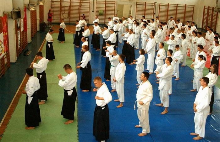 Aikido dojo, ZENDOkan - Skopje