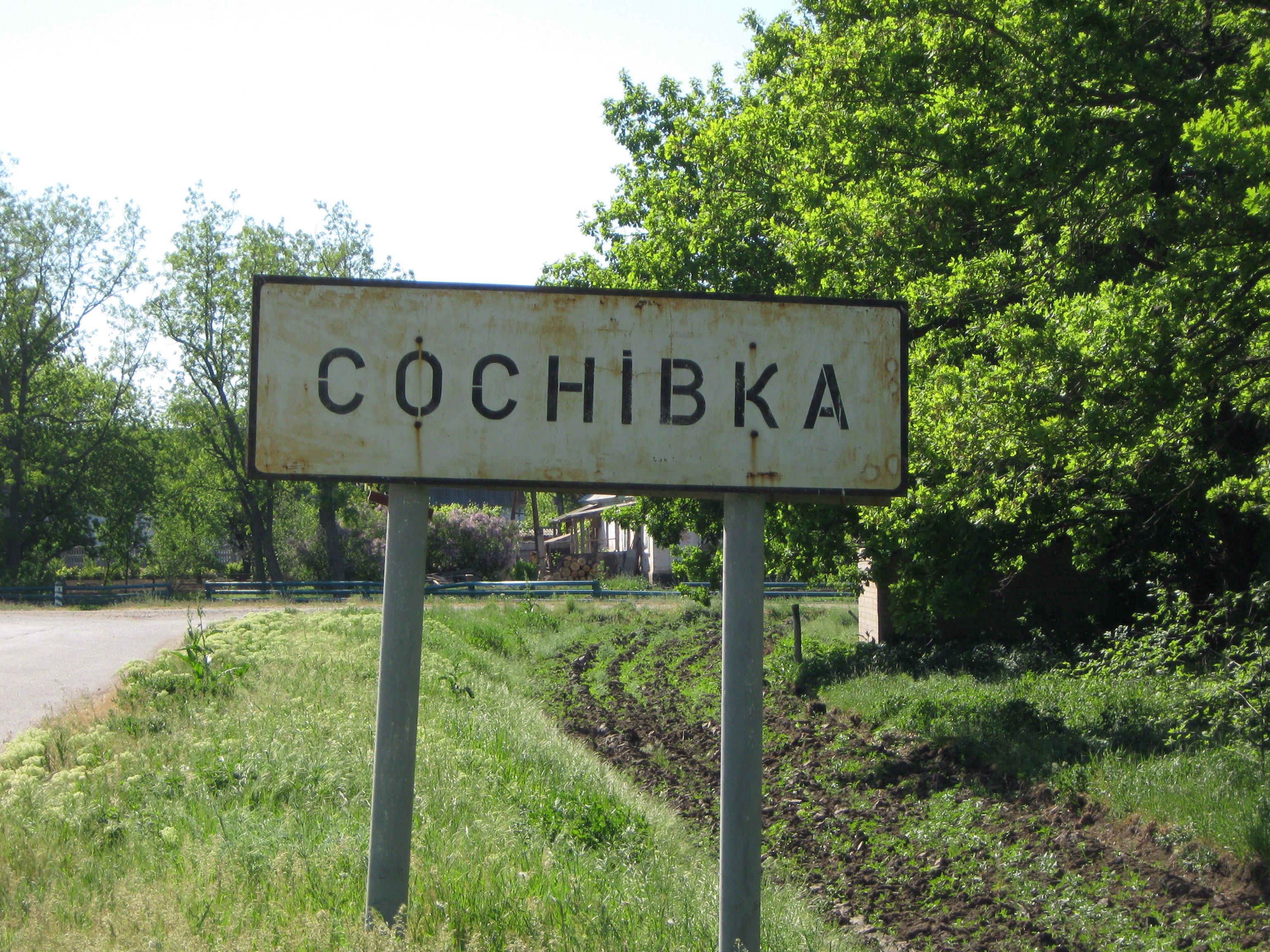 Сосновка населенные пункты. Сосновка Львовская обл. Сосновка (город, Львовская область). Червоноград село Сосновка. Село Сосновка Украина.