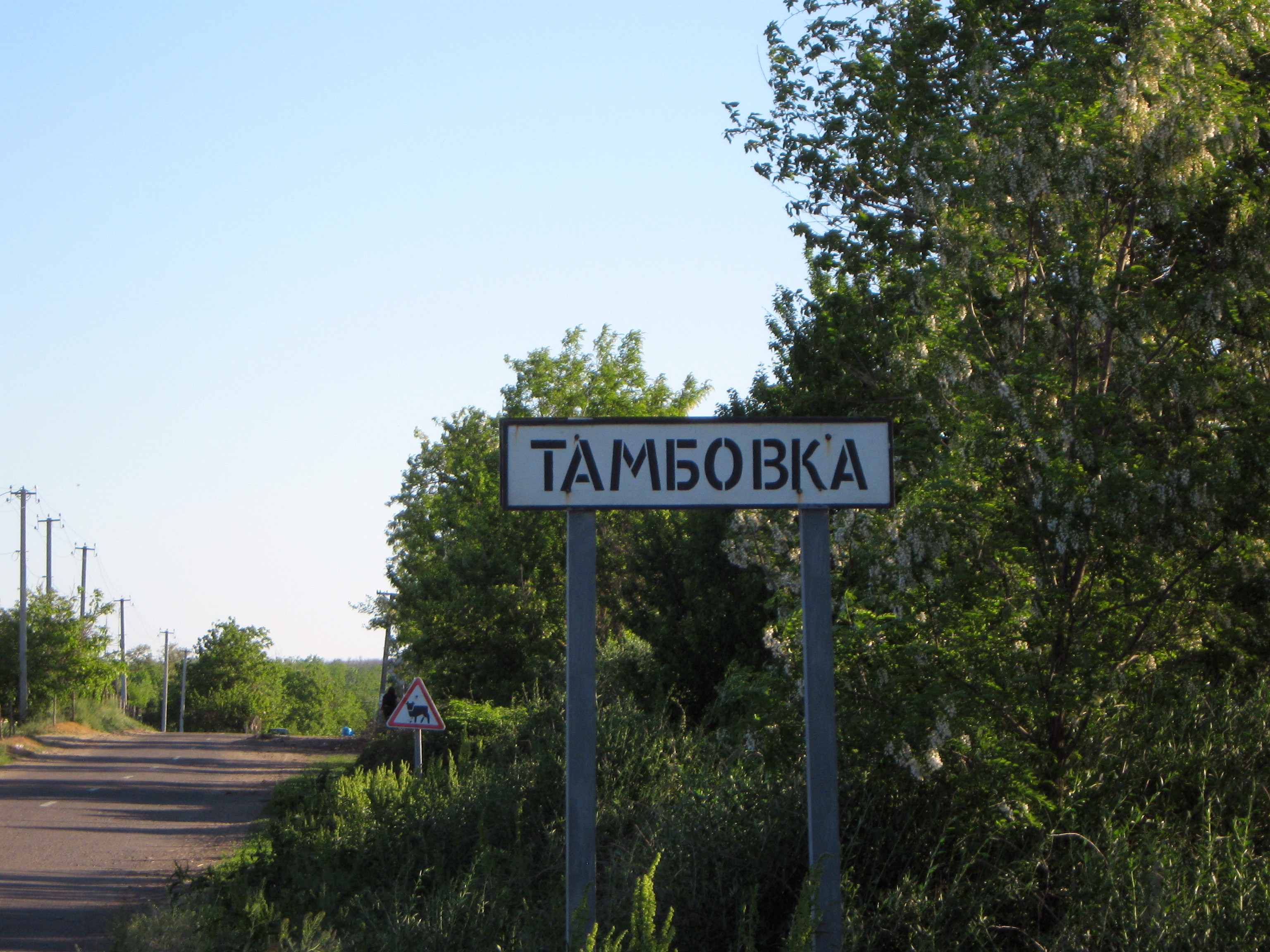 Тамбовка. Тамбовка Амурская область. Поселок Тамбовка Амурская область. С Тамбовка Тамбовского района Амурской. Тамбовка Омская область.