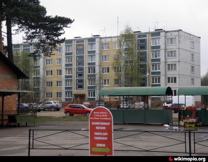 Купить Квартиру В Большой Ижоре Ломоносовского Района