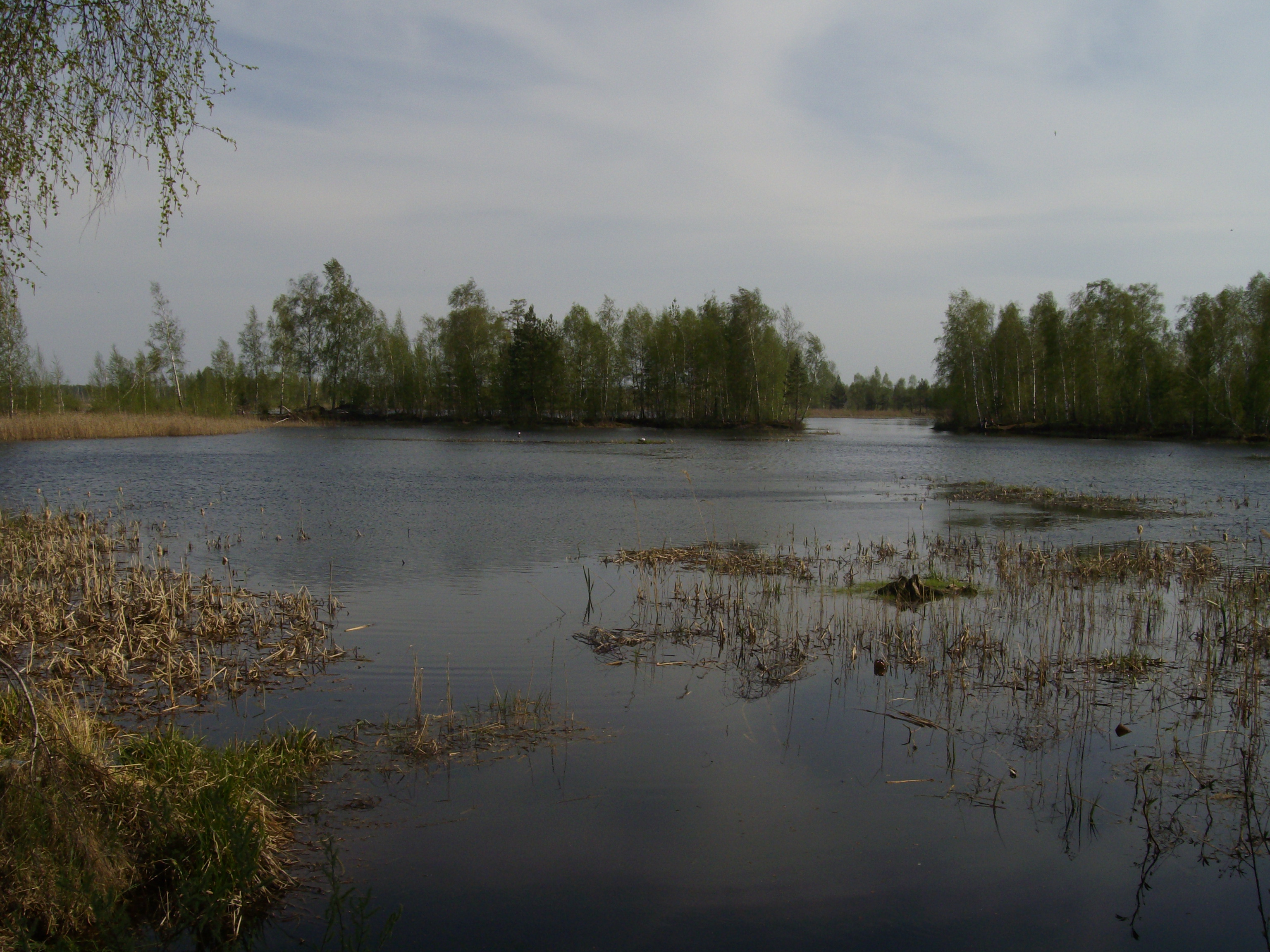 Торфяное озеро Топорково