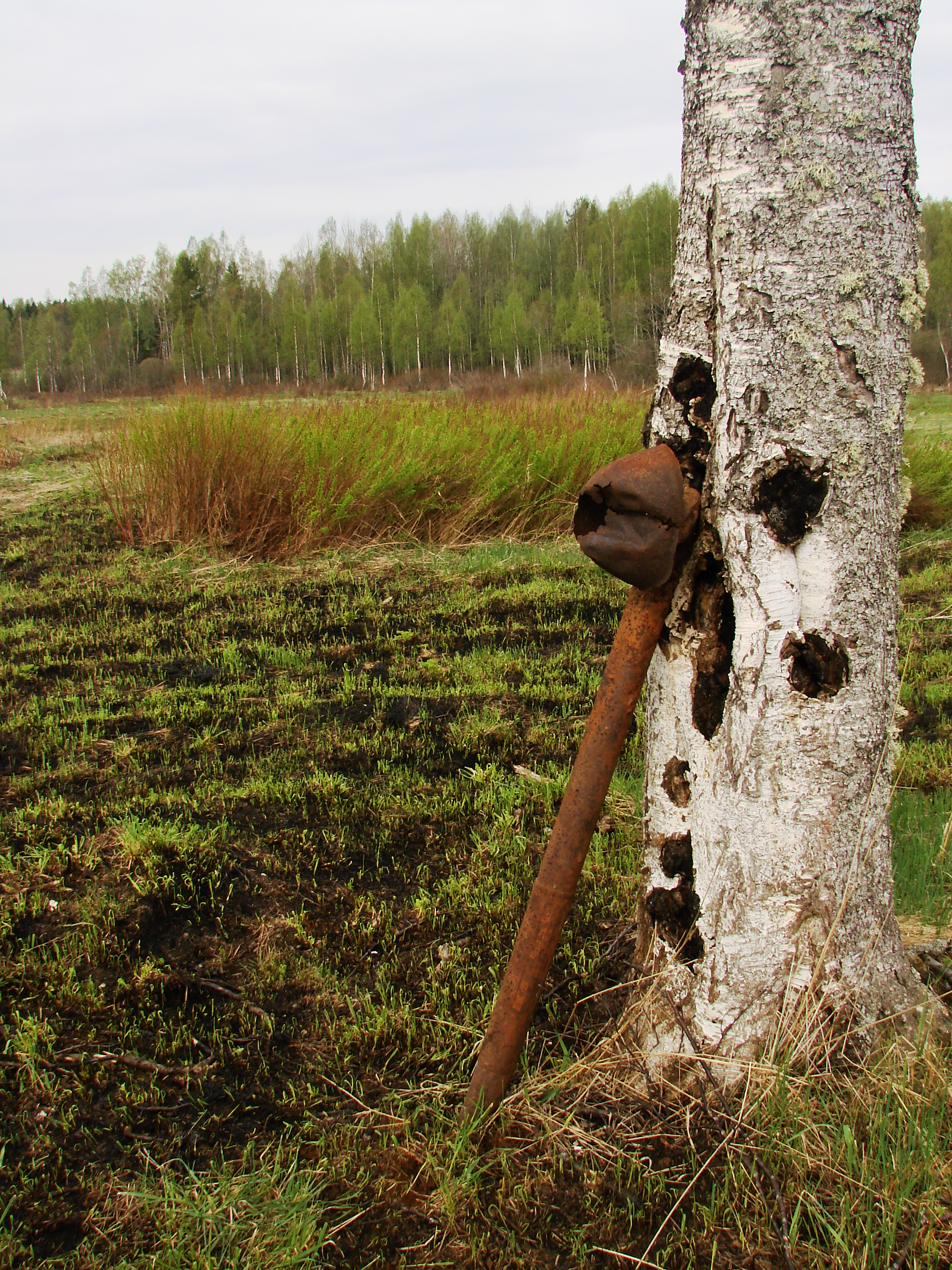 Пери ленинградская область. Пери деревня Ленинградской области. Перри урочище.