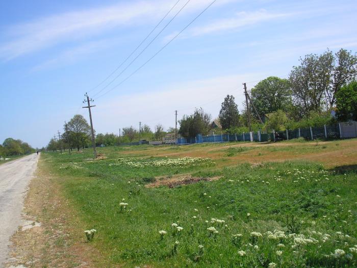 Погода великоселье нижнегорский. Великоселье (Крым). Село Великоселье Нижнегорский район. Плодовое (Нижнегорский район). Луговое (Нижнегорский район).
