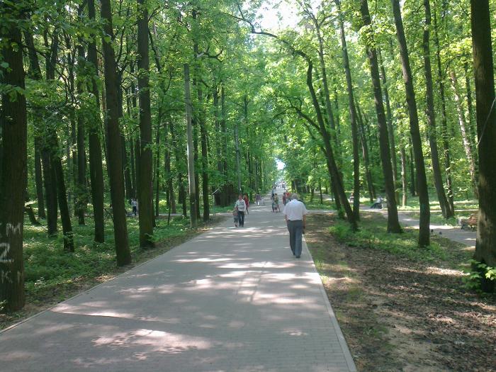 Кунцевский парк