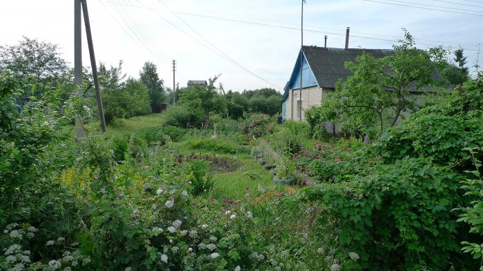 Старое село витебск карта