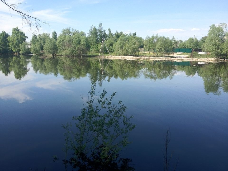 Фото пруда в деревне