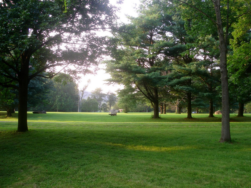 Spruce Run campground