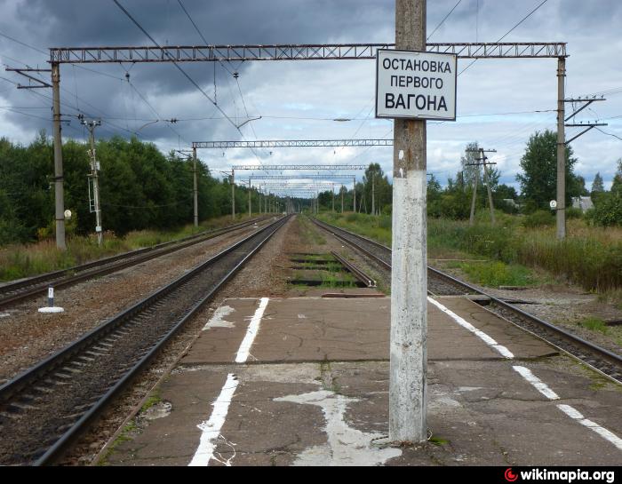 Мга сологубовка. Станция станция Сологубовка Железнодорожная станция. Станция Сологубовка Ленинградская область. Сологубовка — станция ЖД Ленинградская обл. Сологубовка станция Ленинградская.