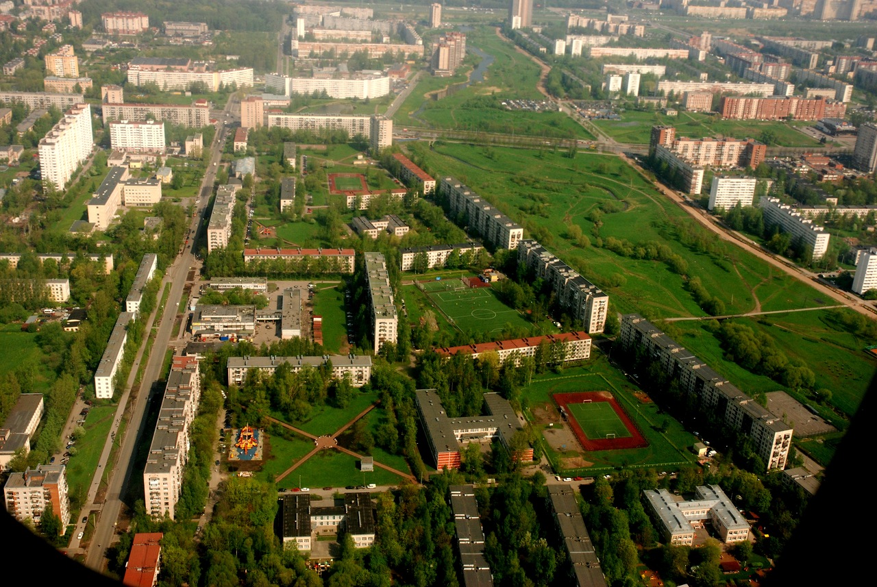 Сосновая поляна санкт петербург фото
