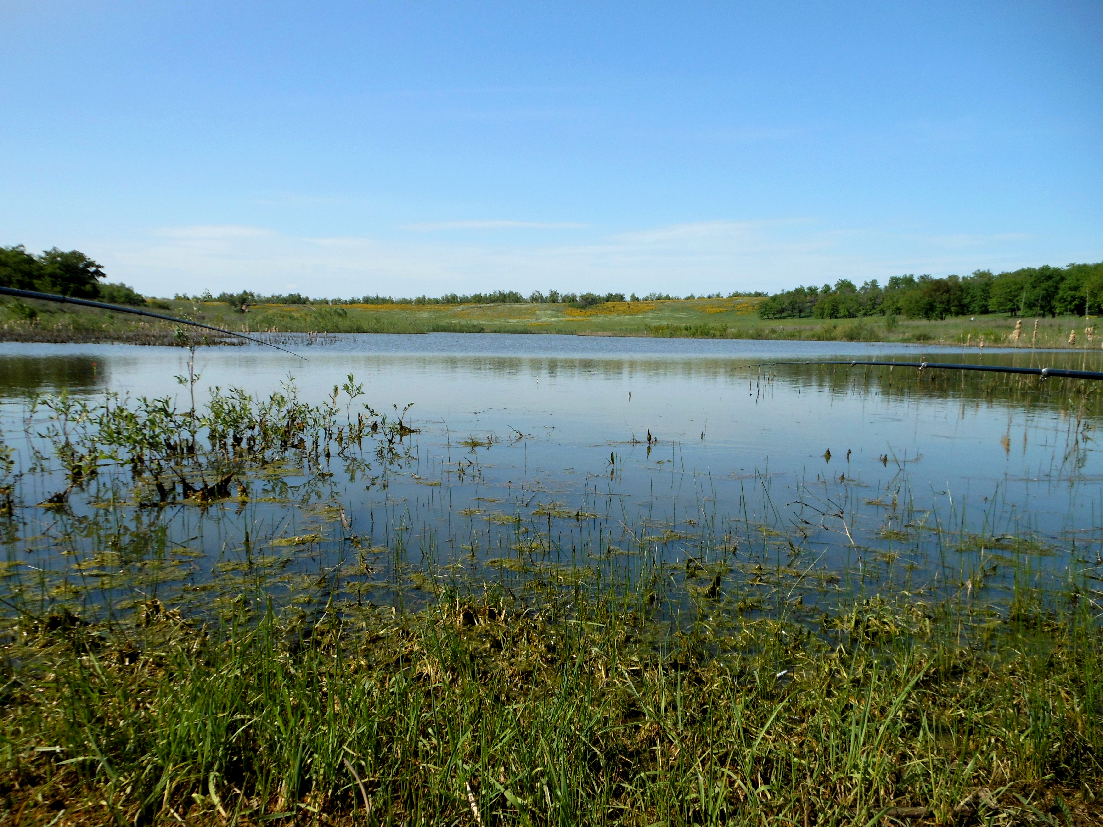 Водоем 5