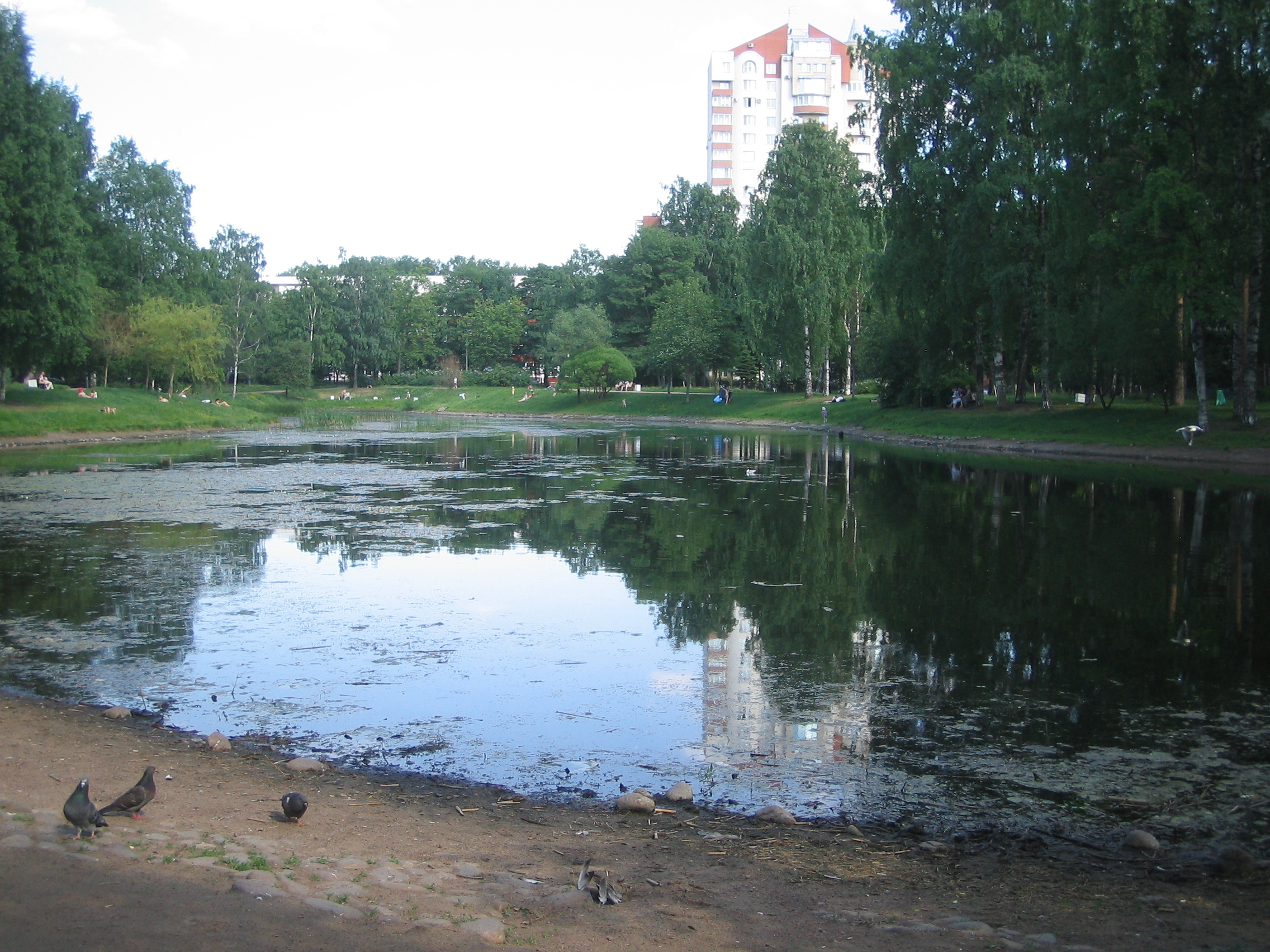 ольгинский пруд санкт петербург