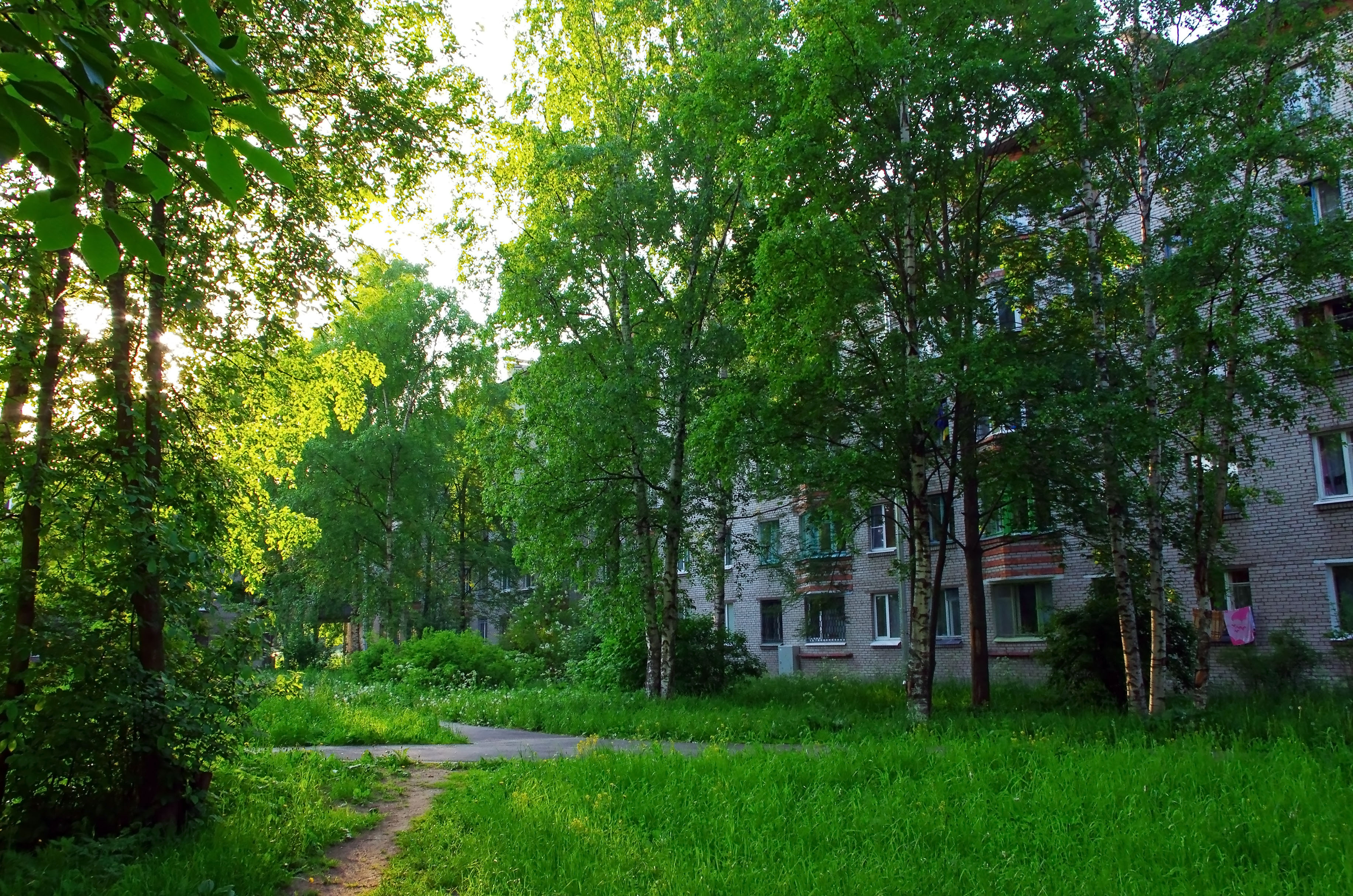 Бульвар разведчика петергоф. Бульвар разведчика петергоф