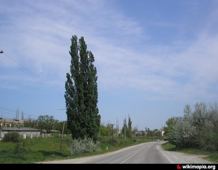 Погода крым белогорск вишенное