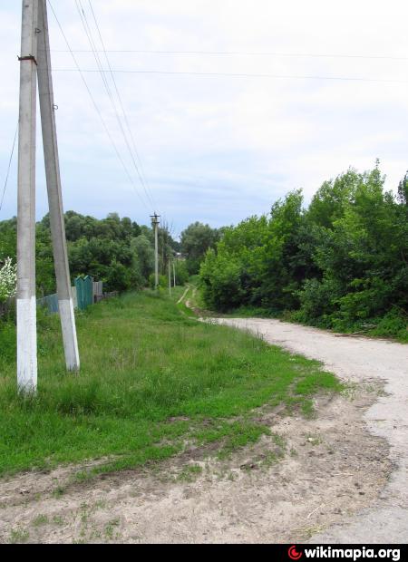 Поселок старица харьковская область