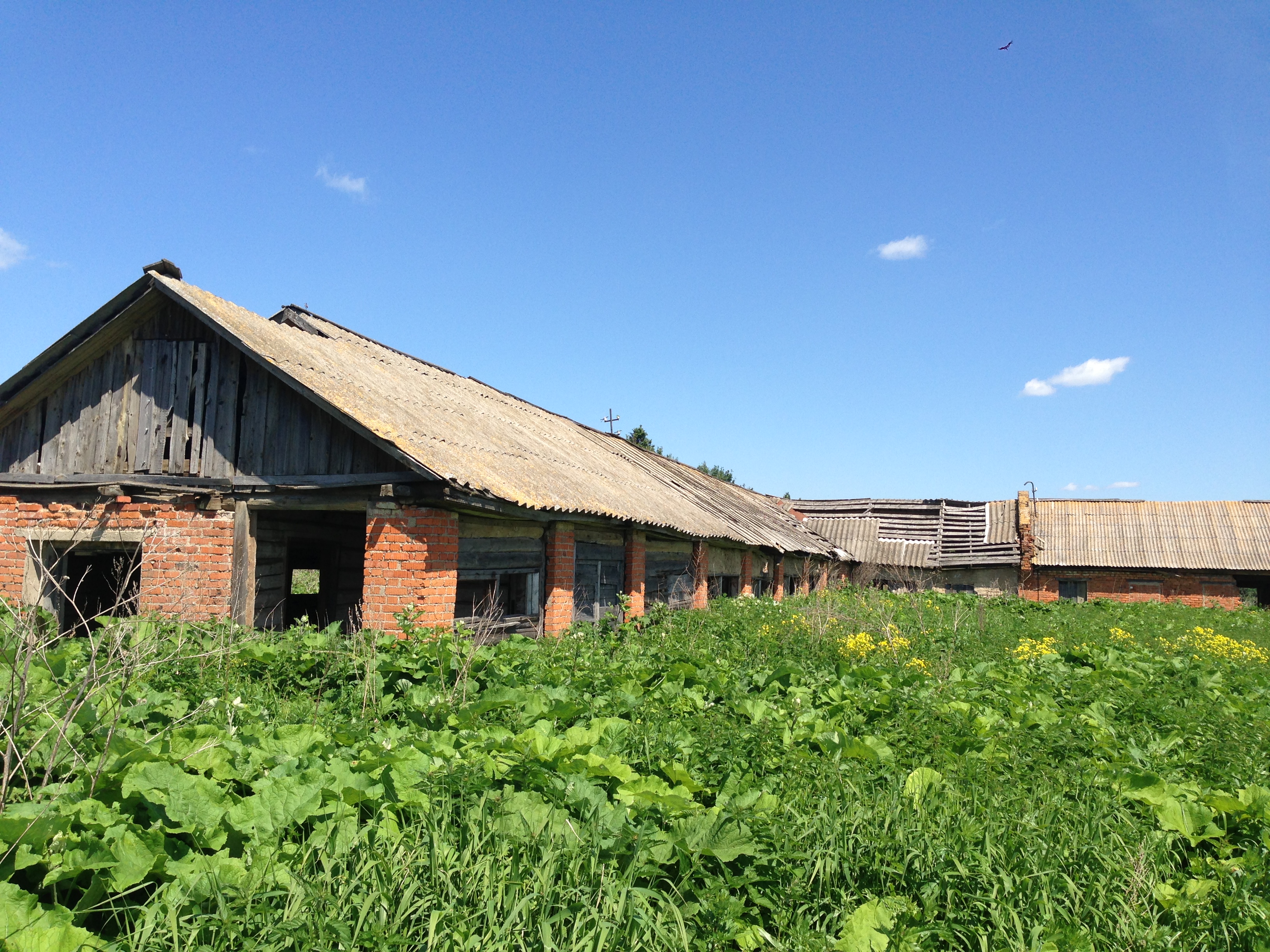 Заброшенная ферма Воровского