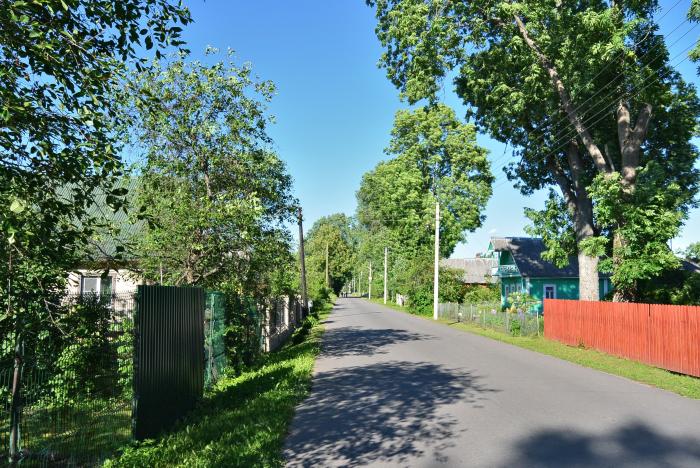 Сельский населенный пункт городского поселения. СНТ Зайцево Гатчинский район. Деревня остров Ленинградская область. Остров (Гатчинский район). Зайцево (Дружногорское городское поселение).