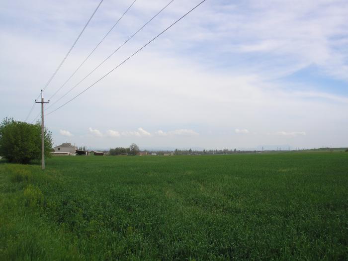 Село урожайное. Село Урожайное Украина. Село Урожайное Донецкая область. Село Чуюнчи жители.