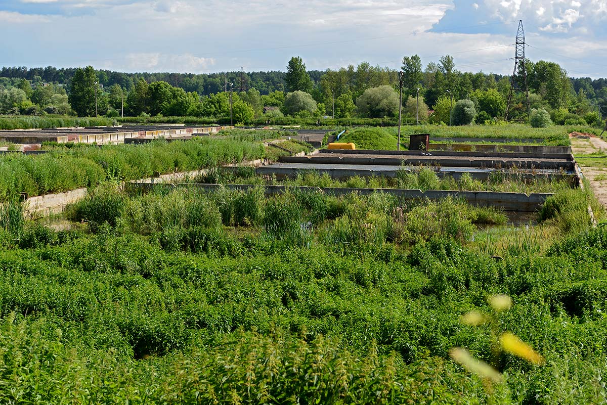 иловая дмитриевская. крестовоздвиженский храм село рогозна дмитриевский район. иловая дмитриевская. иловая дмитриевская. тамбовская обл село иловай дмитриевское.