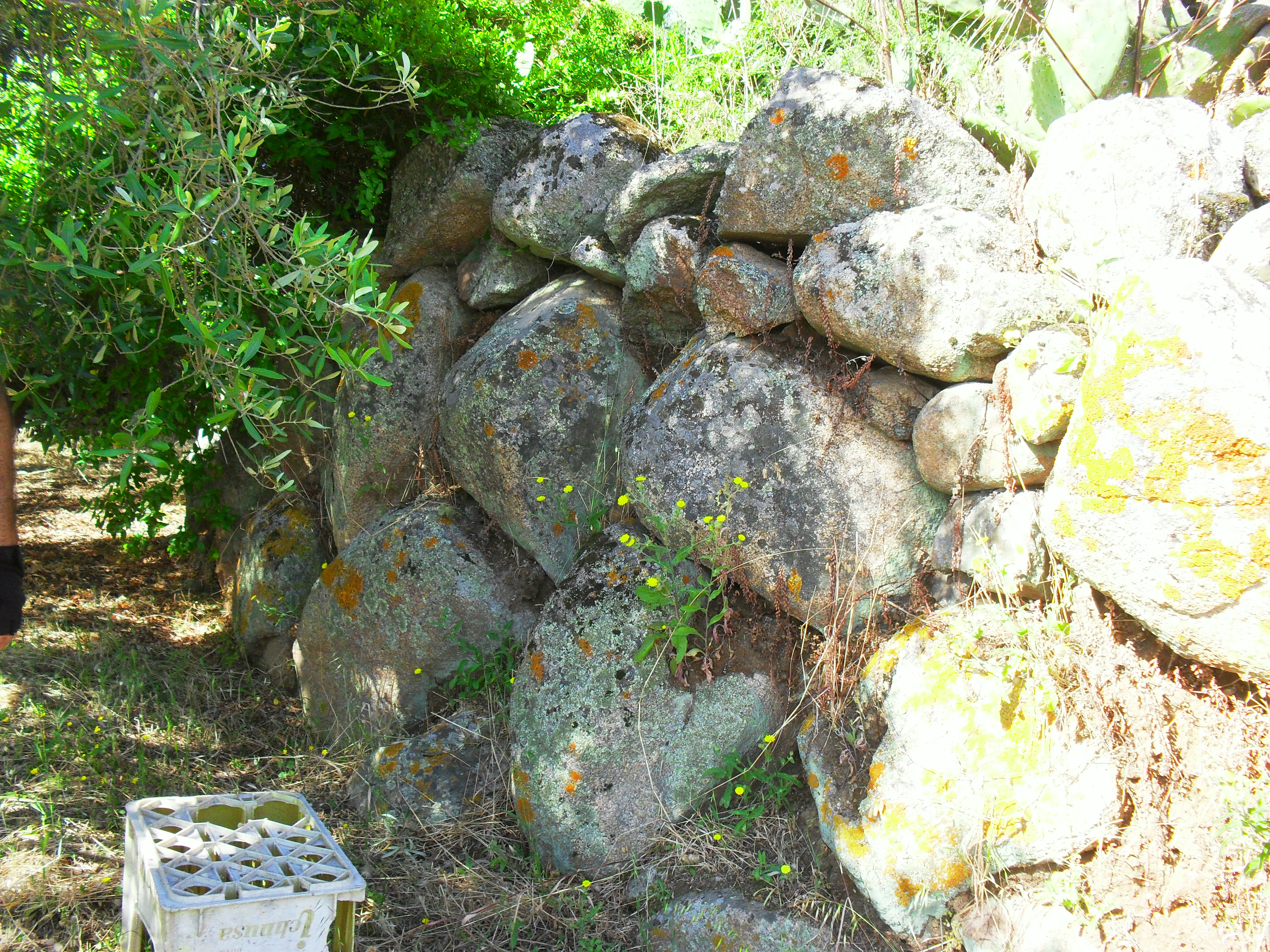 Nurga Nuraghe Terra Frucca or Terrafurga