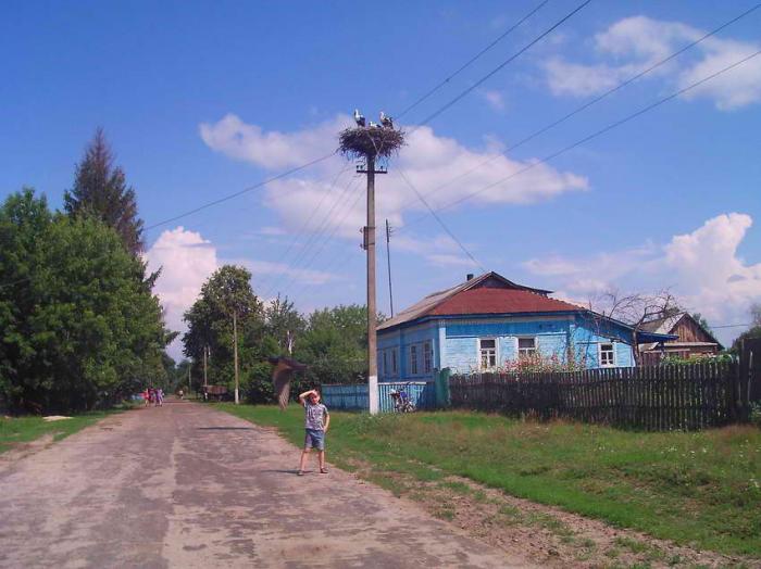 Населенный пункт гута. Сумская область Середино-Будский район. Старая Гута Сумская область. Рожковичи Середино-Будский район. Рожковичи Середино-Будский район Сумская область.