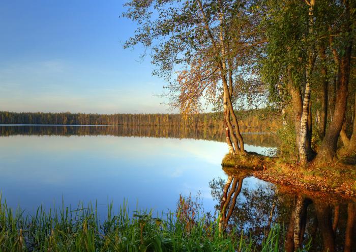 Озеро уржинское рязань фото