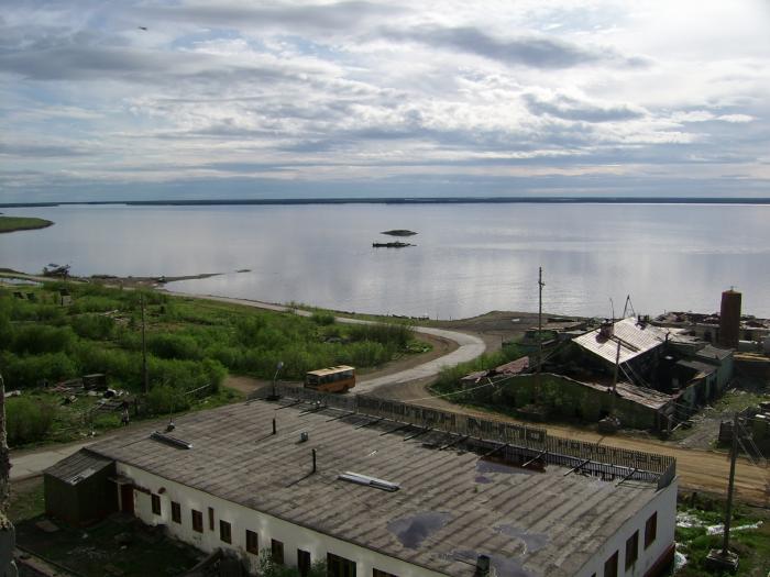 Черский. Нижняя Колыма поселок Черский. Черский (посёлок городского типа). Саха Якутия Черский зеленый мыс. Зеленый мыс аэропорт Черский.