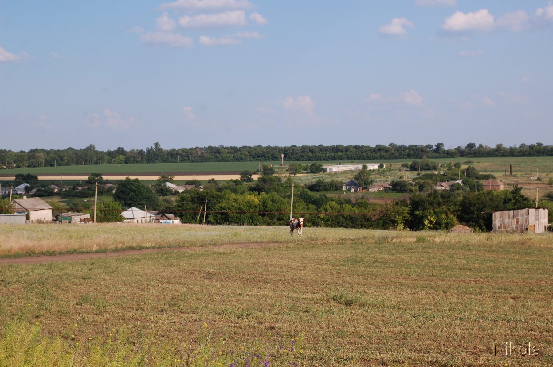 Карта украины село каменка