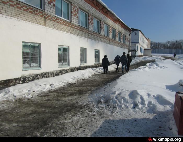 Горное колония. Село Абрамовка Приморский край. Село Абрамовка Ульяновская область. Колония в Горном Приморский край. Абрамовка Приморский край Михайловского района.