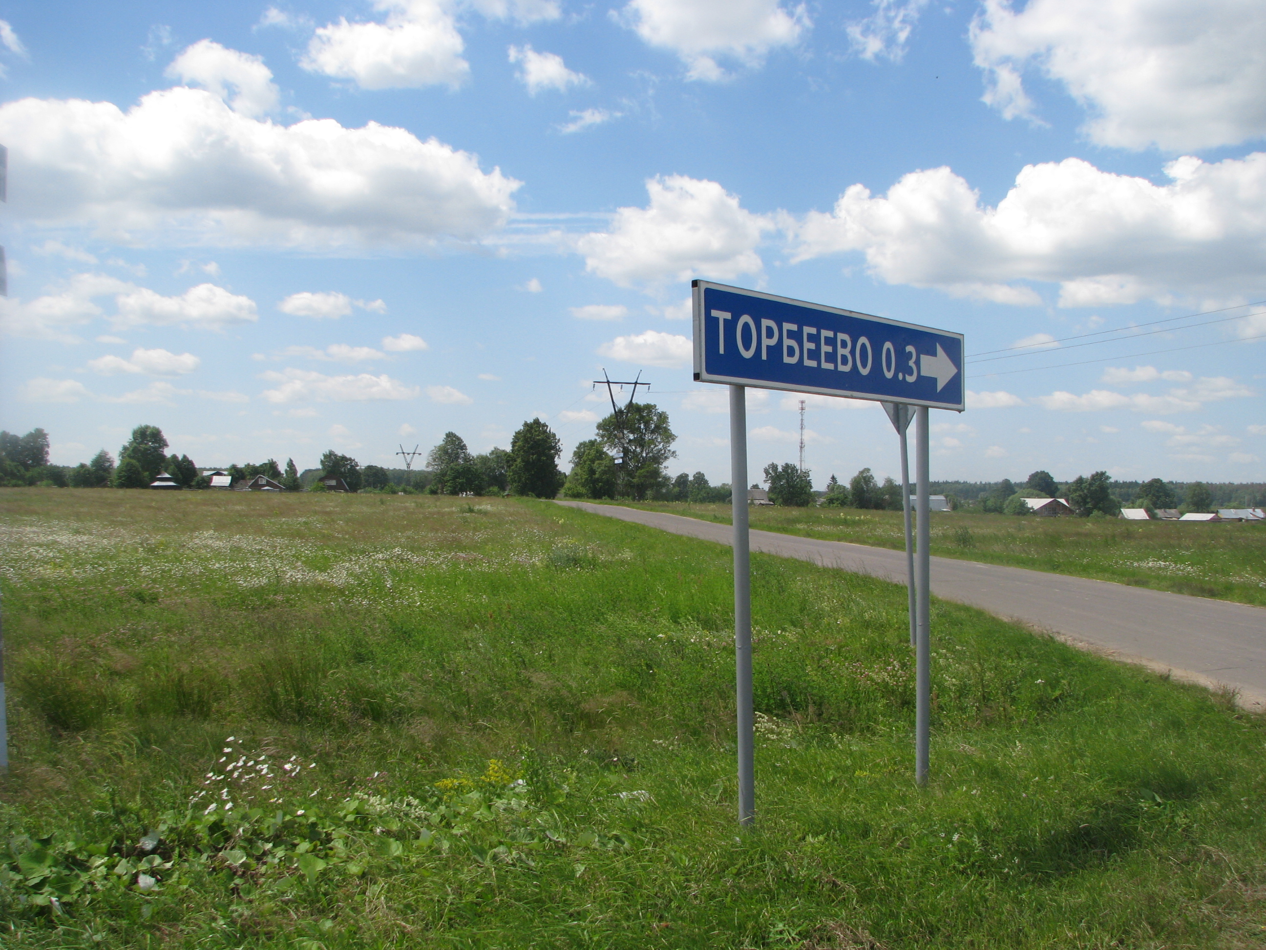 Купить Дом В Торбеево Калужской Области