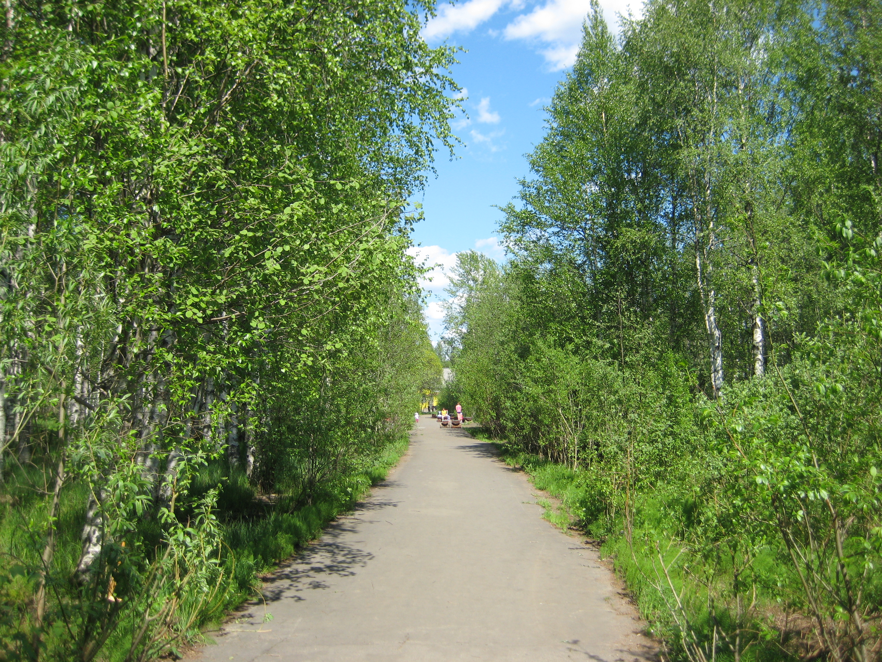 Онега парк. Городской парк Онега. Парк Победы Онега. Городской парк Онега Архангельская область. Город Онега улицы.