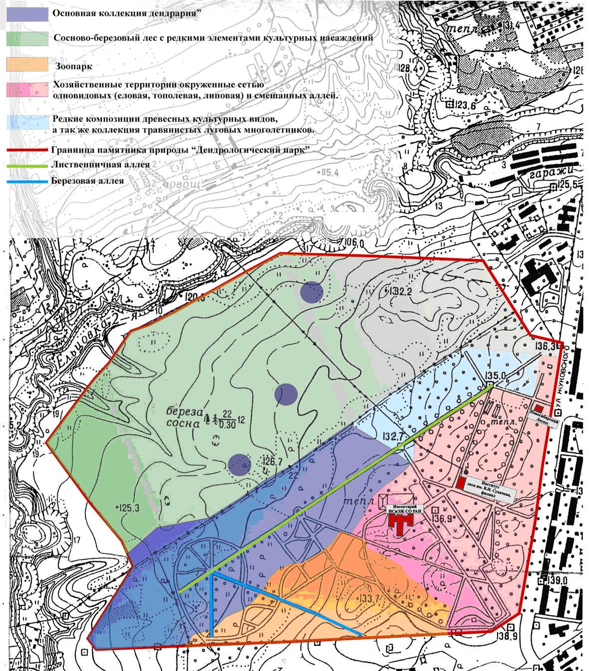 Карта дендропарка новосибирск