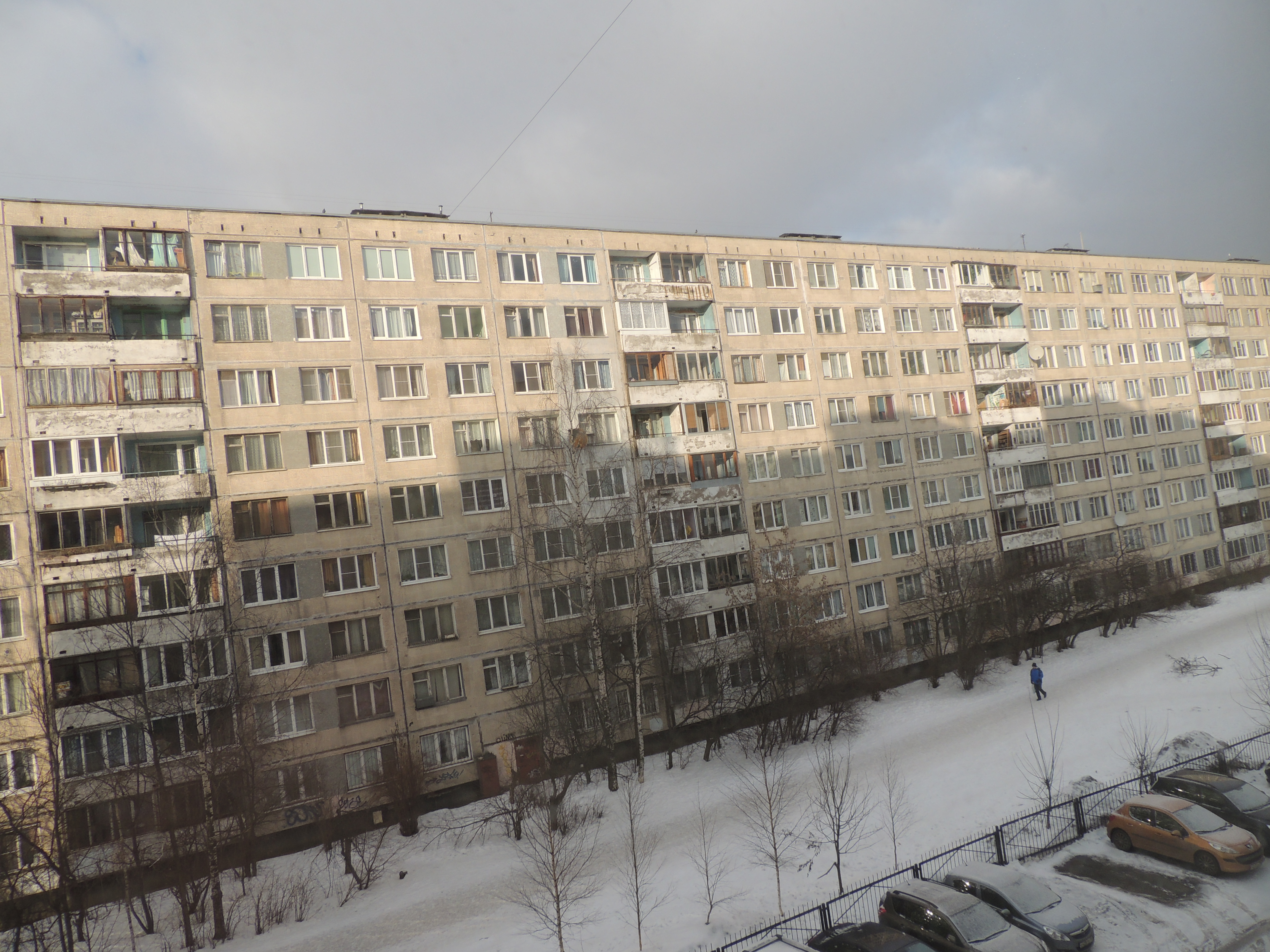 товарищеский проспект санкт петербург