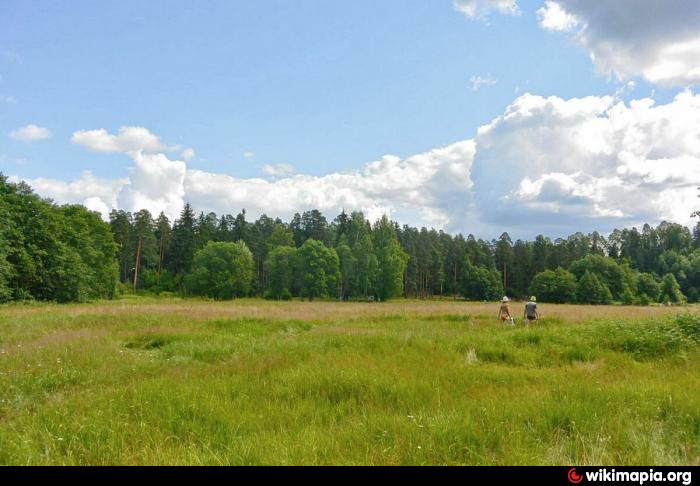 Лялин луг сиверский фото