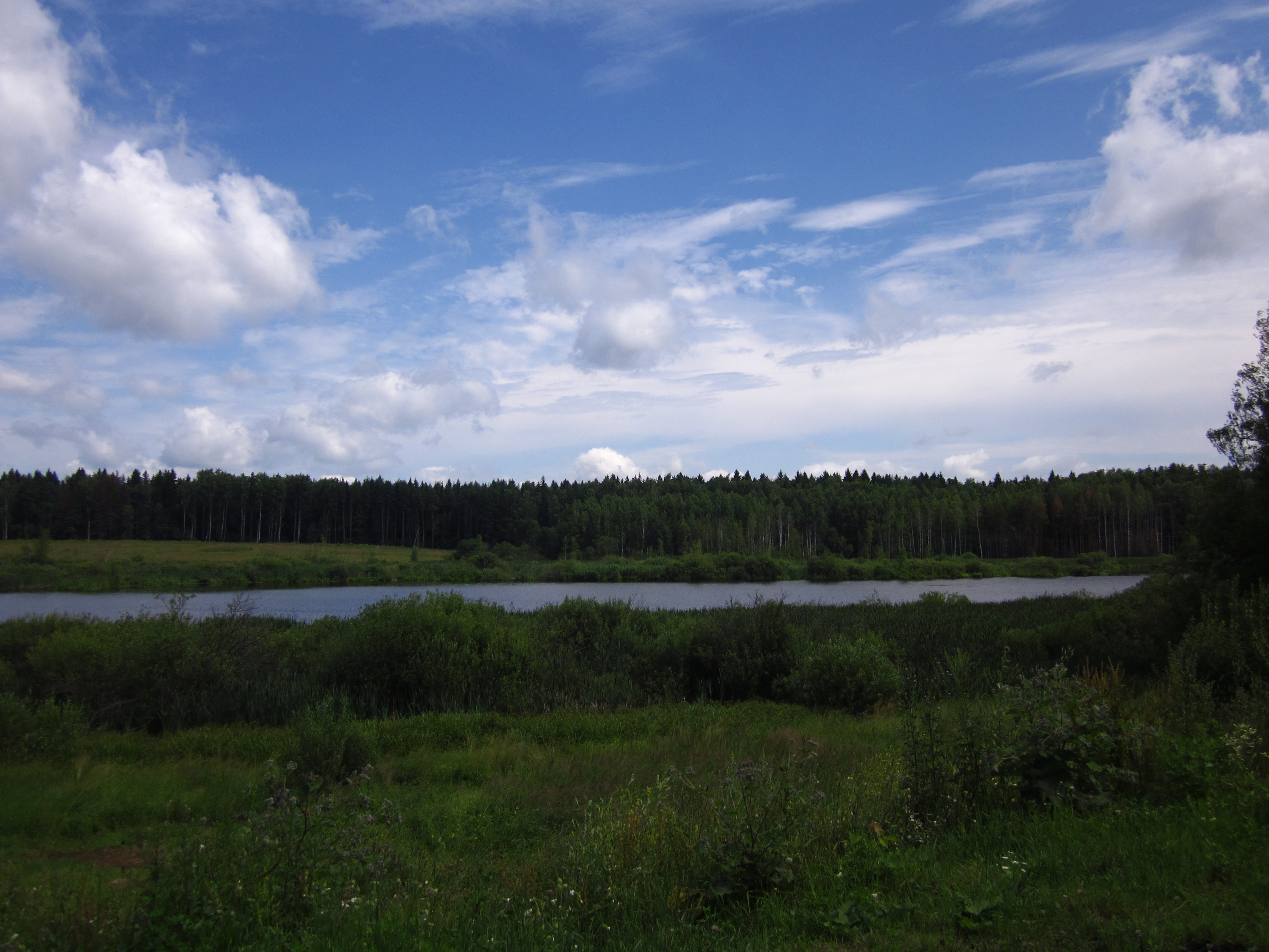 Черное озеро 2024. Чёрное озеро Чувашия. Черное озеро Свердловская область. Черное озеро поселок Малышева. Огуднево черное озеро.
