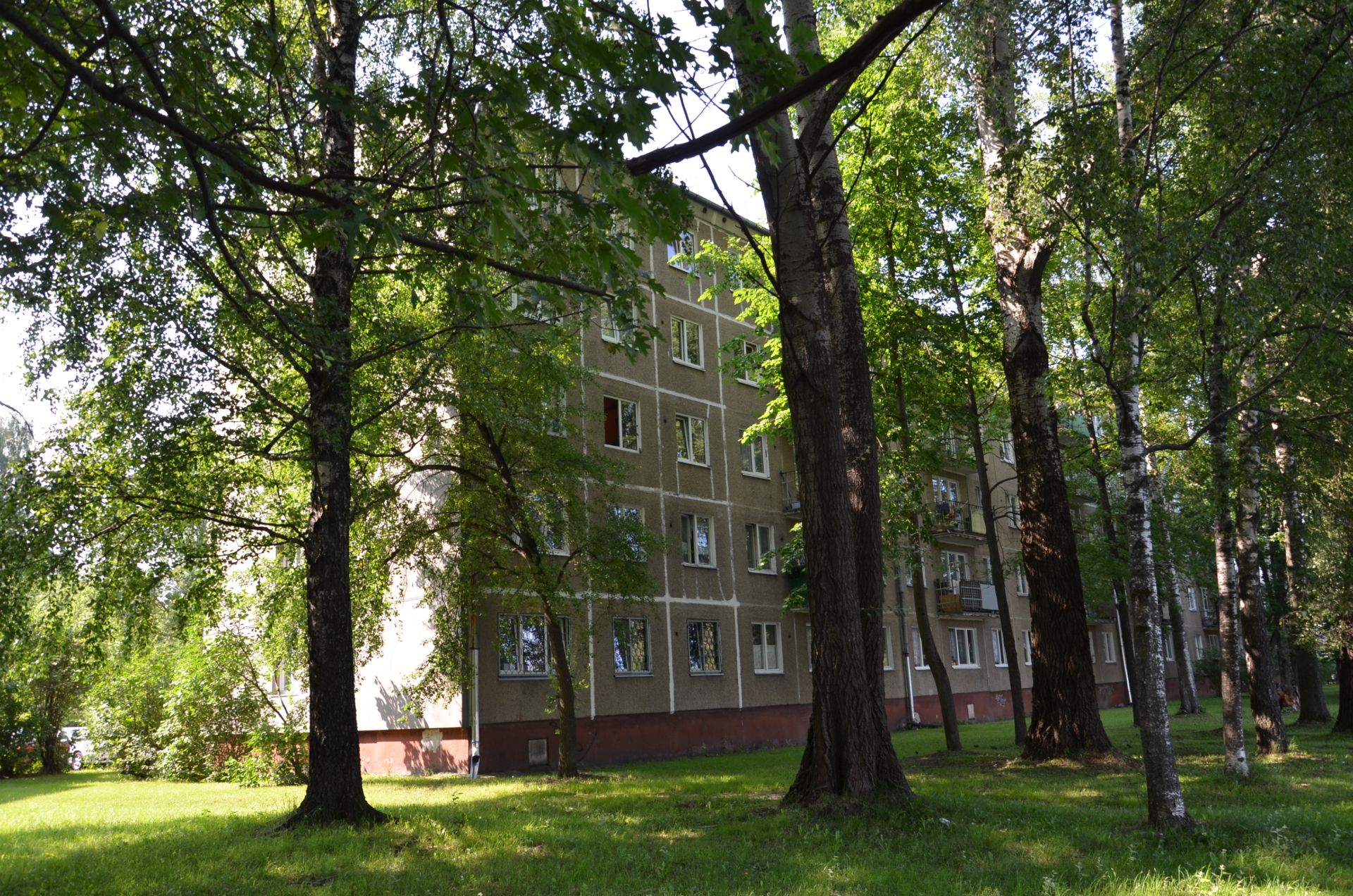 рижская 47 тюмень. рижская тюмень. г тюмень ул рижская 47. магазин барон куровское. рижская 47.