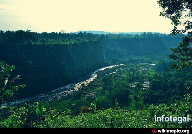 Wisata Kesehatan Jamu Wkj Kalibakung Desa Kalibakung