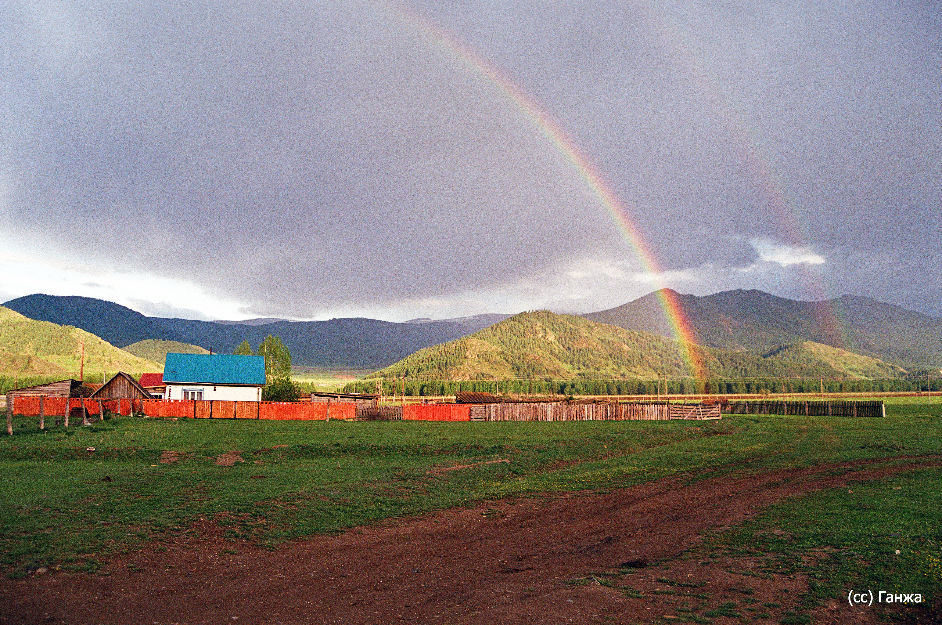 село ело фото