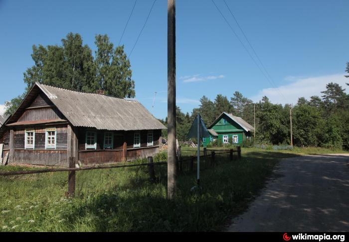 Погода ленинградская область дер пустошка