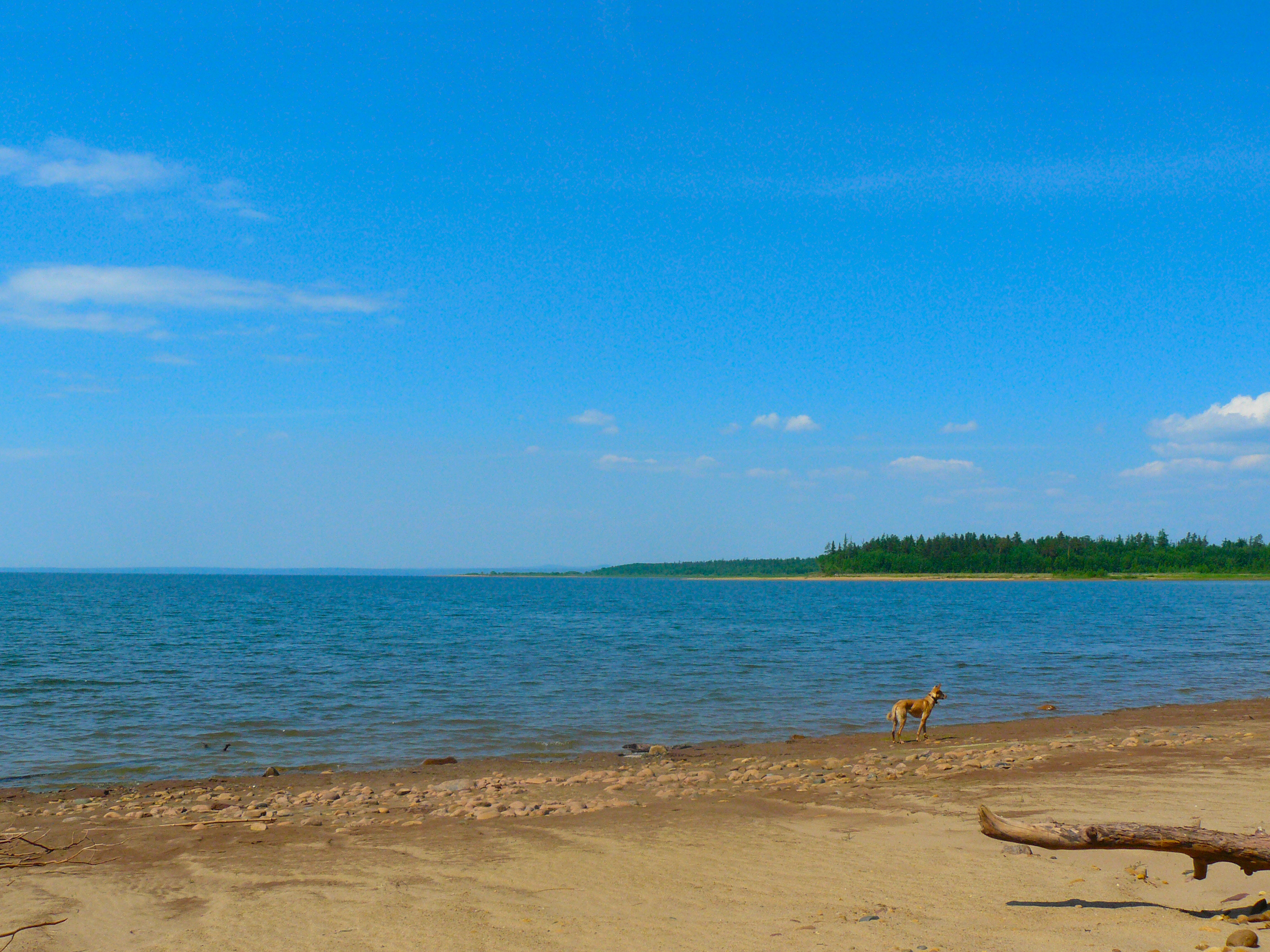 братское море