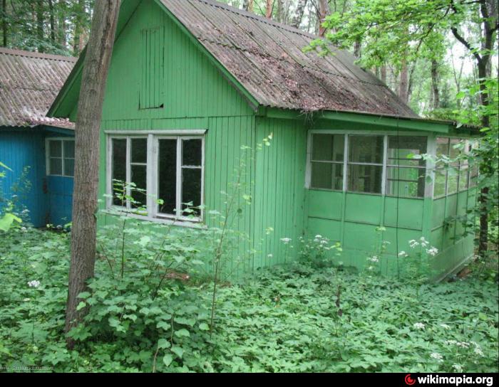 Купить Дачу Солнечная Поляна
