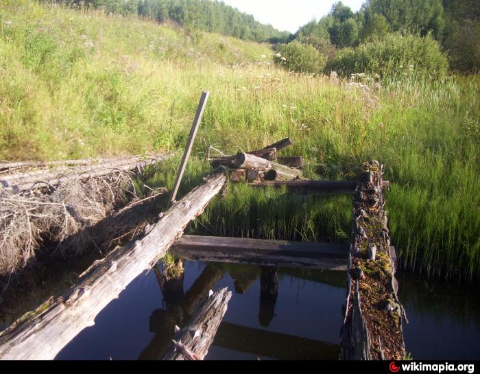 Нижняя нея. Река нея Поназырево. Поназырево Костромская область Хмелевское поселение. Лесничество Поназырево. Поназырево Киров.