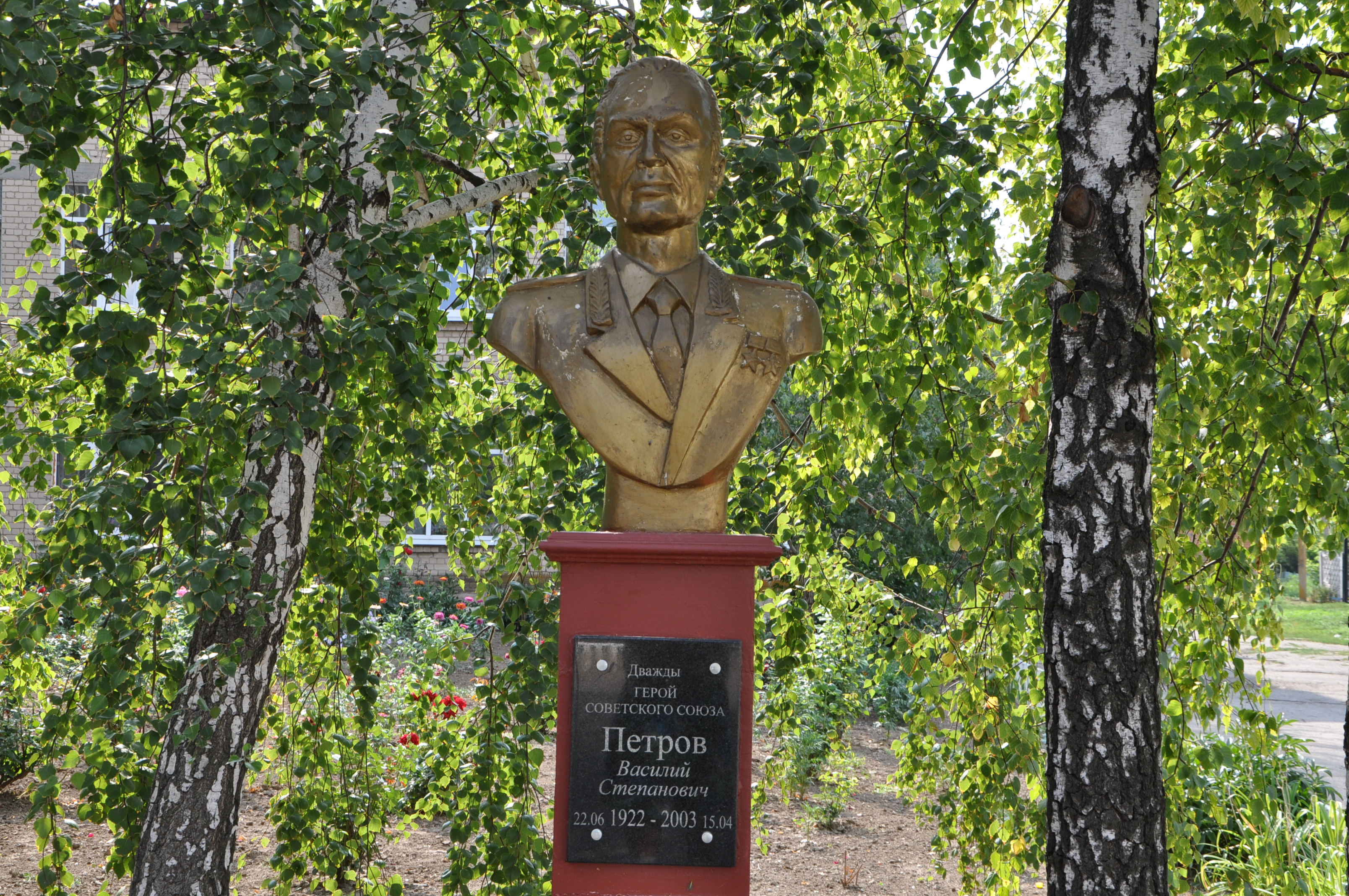 Единственный герой советского союза. Василий Степанович Петров. Василий Степанович Петров генерал. Петров Василий Степанович дважды герой советского Союза. Петров герой советского Союза без рук.