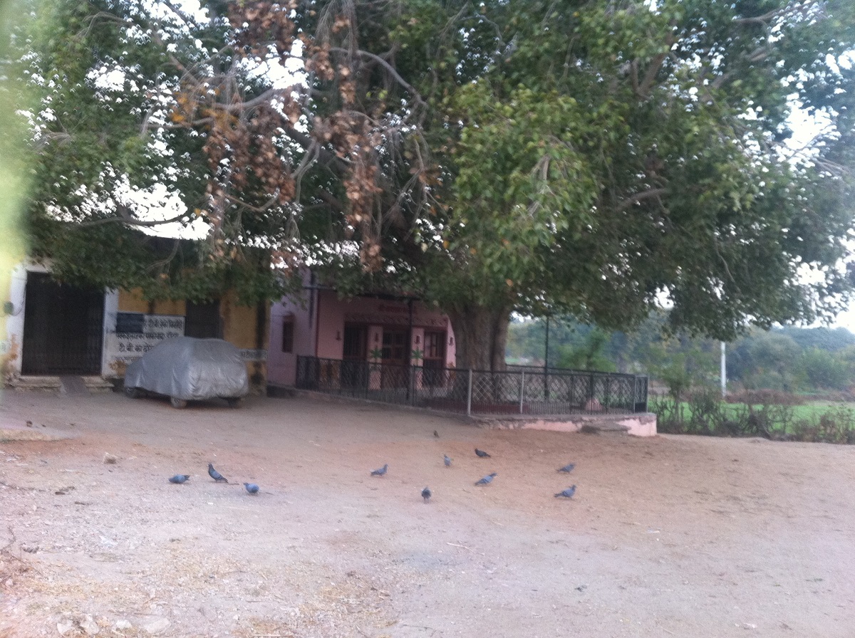 Chamundamata Temple,Pakhand, Rajasthan