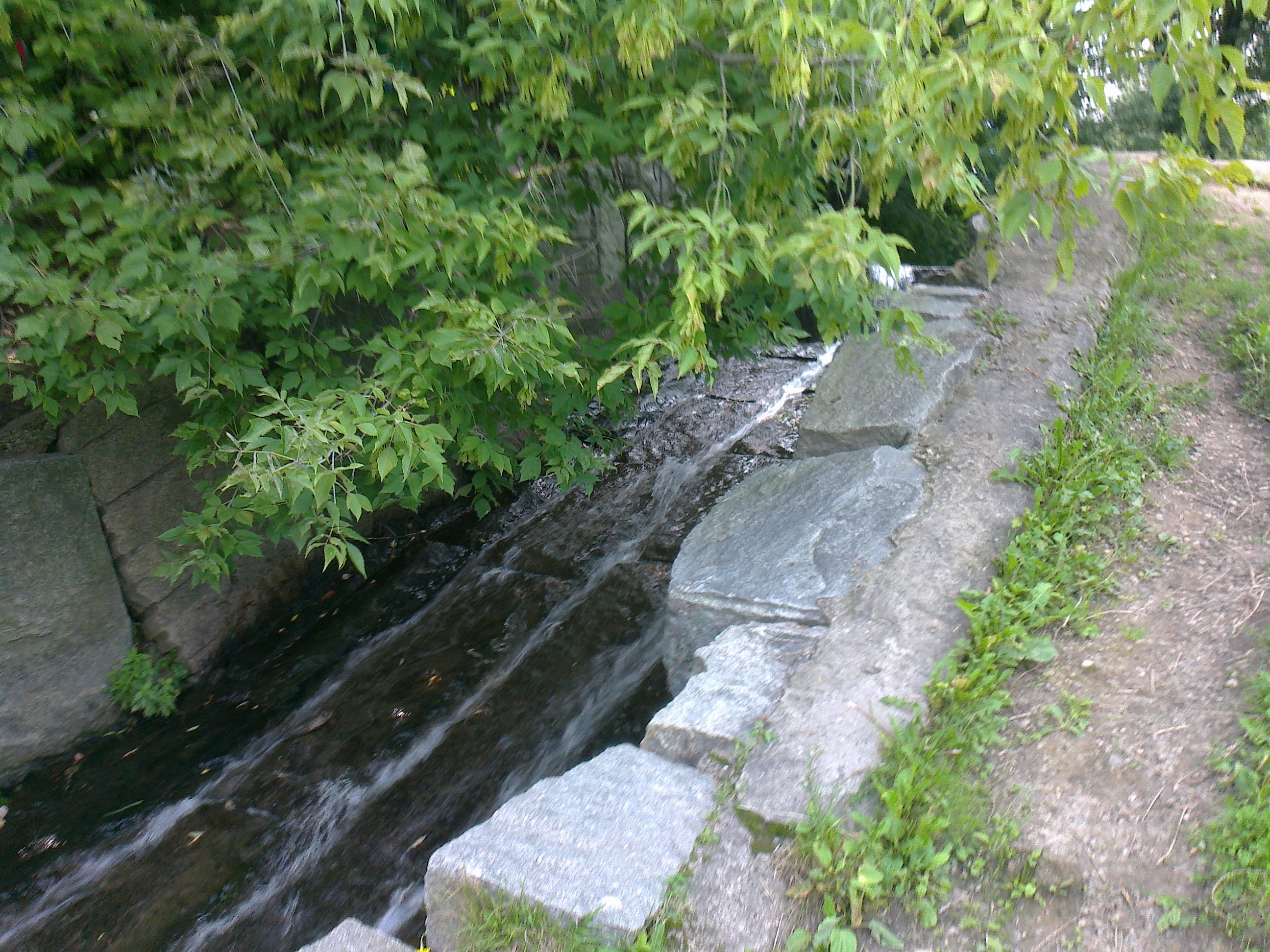 обыденский парк водопад в москве