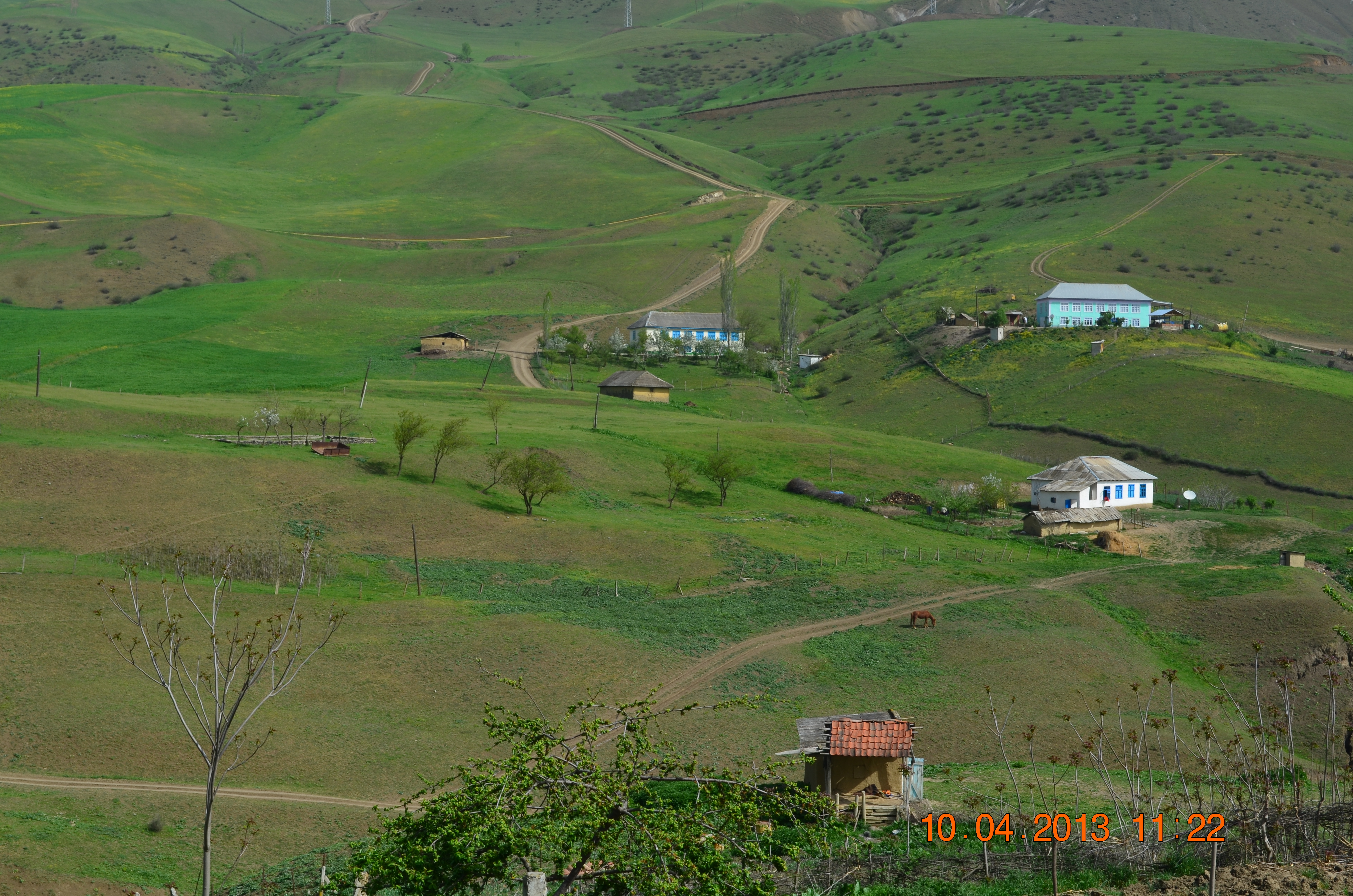 косалари грузия